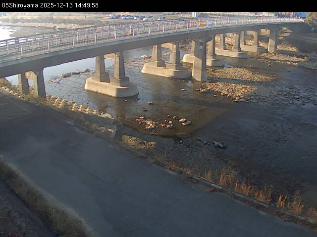 最新監視カメラ画像