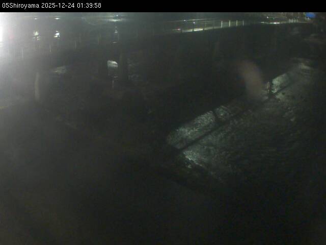 最新監視カメラ画像