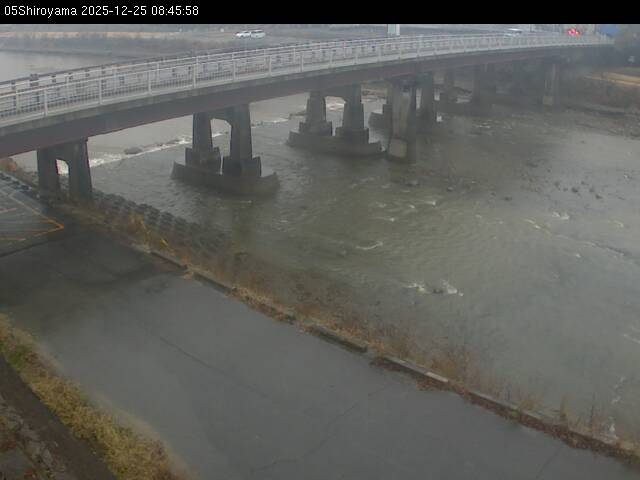 最新監視カメラ画像