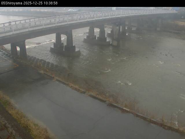 最新監視カメラ画像