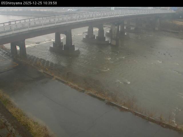 最新監視カメラ画像