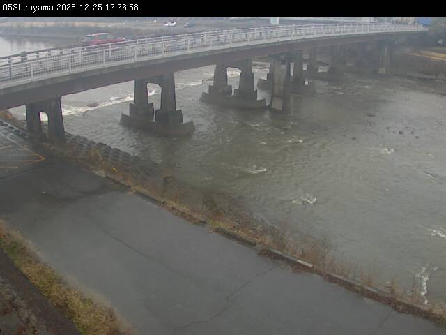 最新監視カメラ画像