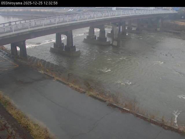 最新監視カメラ画像