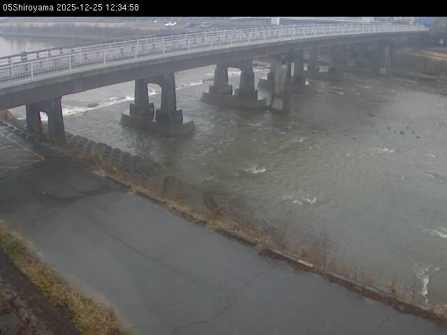 最新監視カメラ画像