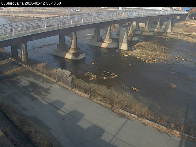 最新監視カメラ画像