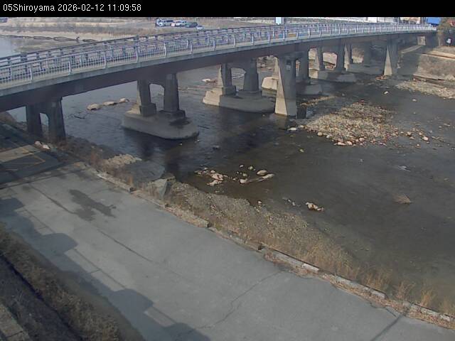 最新監視カメラ画像