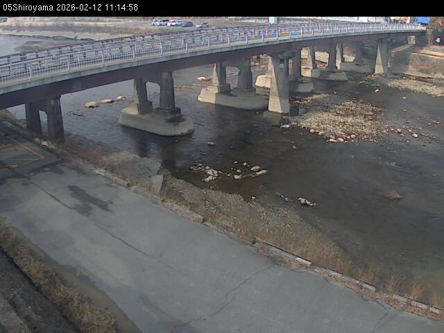 最新監視カメラ画像