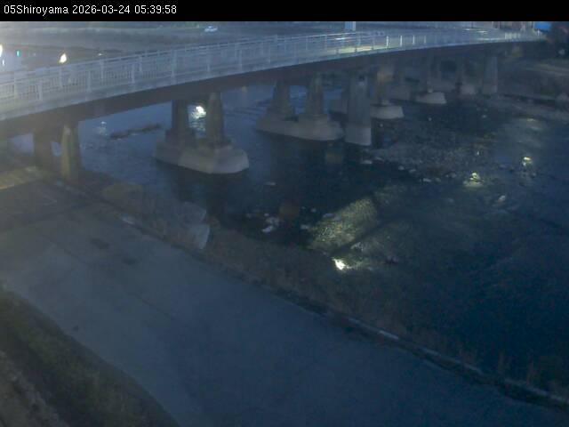 最新監視カメラ画像