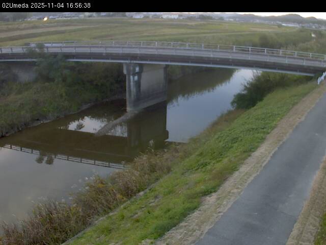 最新監視カメラ画像