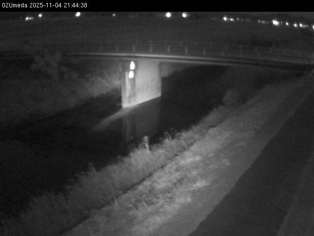 最新監視カメラ画像