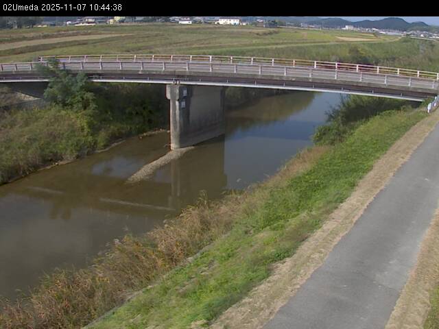 最新監視カメラ画像