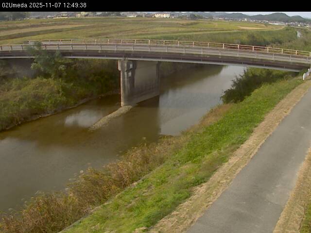 最新監視カメラ画像