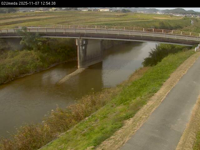 最新監視カメラ画像