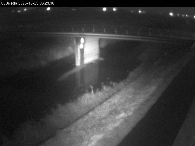 最新監視カメラ画像