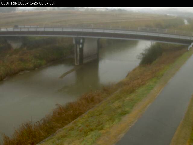 最新監視カメラ画像