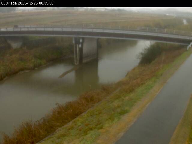 最新監視カメラ画像