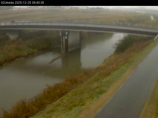 最新監視カメラ画像