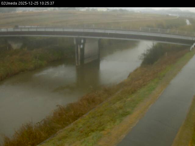 最新監視カメラ画像