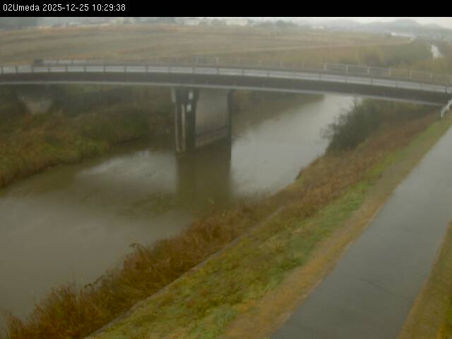 最新監視カメラ画像