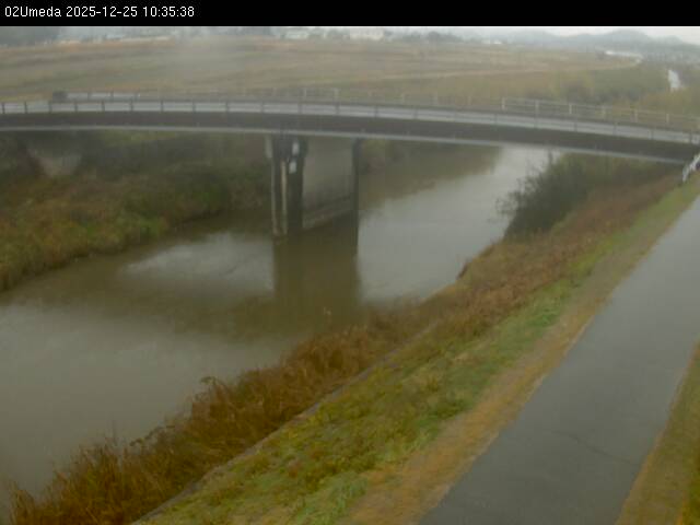 最新監視カメラ画像