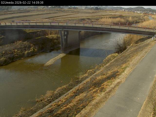 最新監視カメラ画像