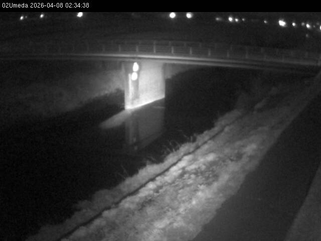 最新監視カメラ画像