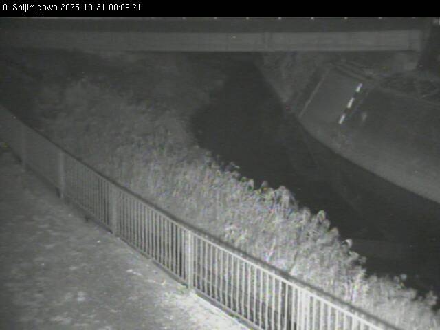 最新監視カメラ画像