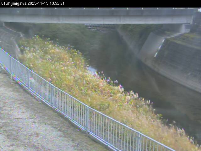 最新監視カメラ画像