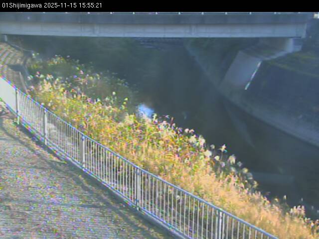 最新監視カメラ画像