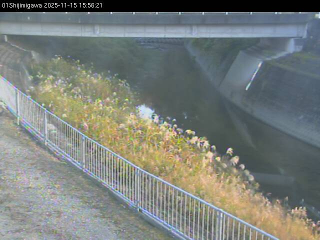 最新監視カメラ画像