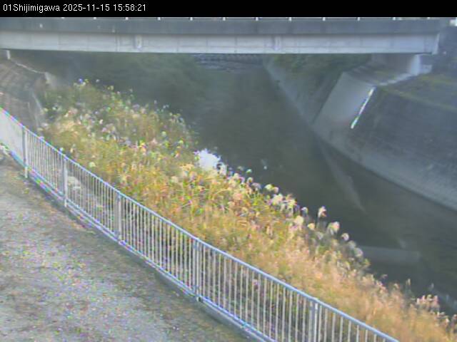 最新監視カメラ画像