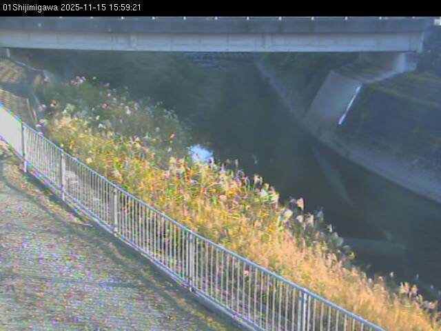 最新監視カメラ画像