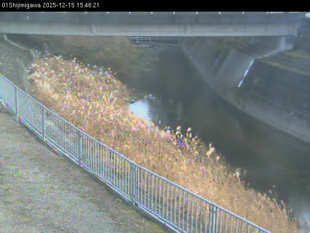 最新監視カメラ画像