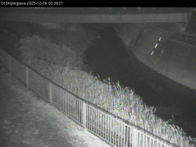 最新監視カメラ画像