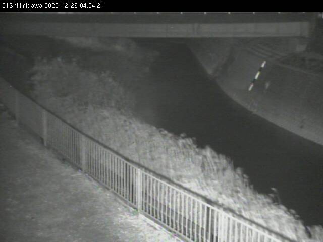 最新監視カメラ画像