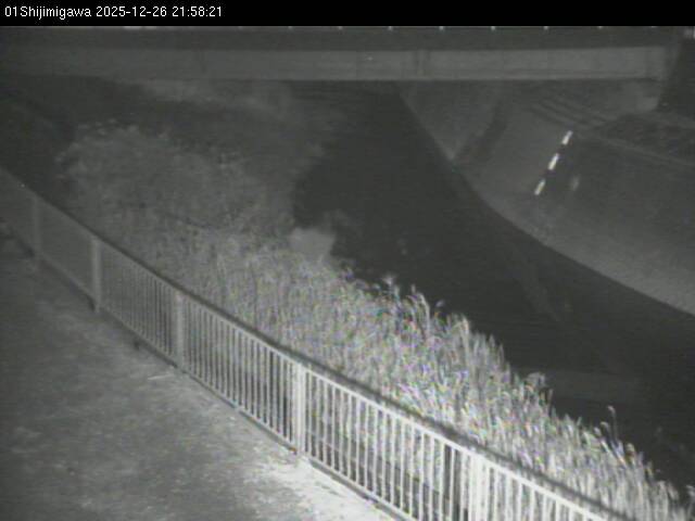 最新監視カメラ画像