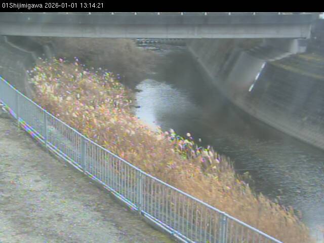 最新監視カメラ画像