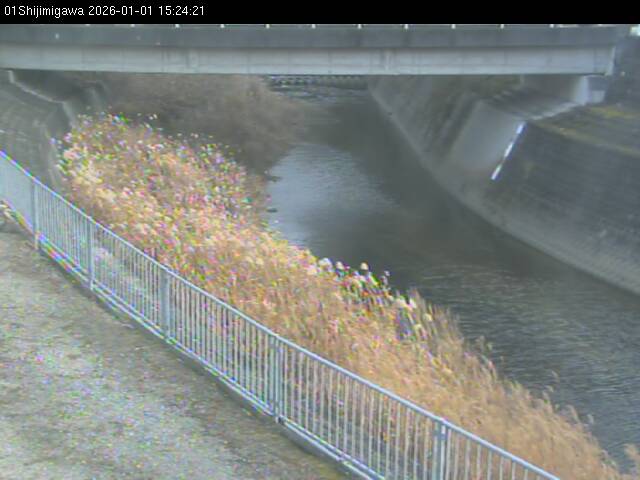 最新監視カメラ画像