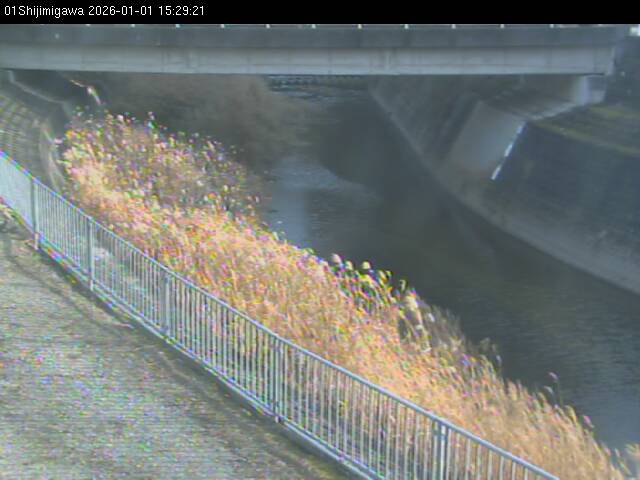 最新監視カメラ画像