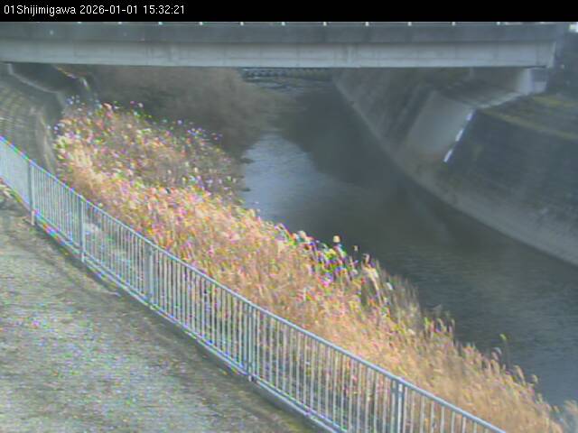 最新監視カメラ画像