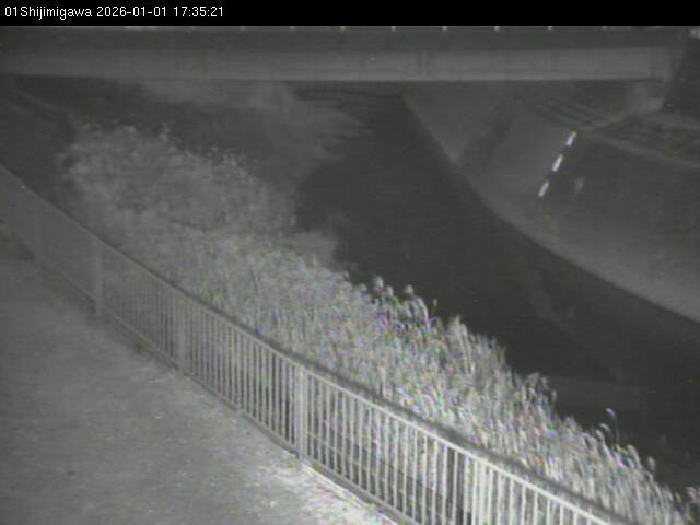 最新監視カメラ画像