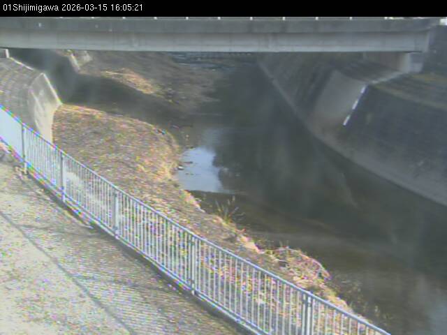 最新監視カメラ画像