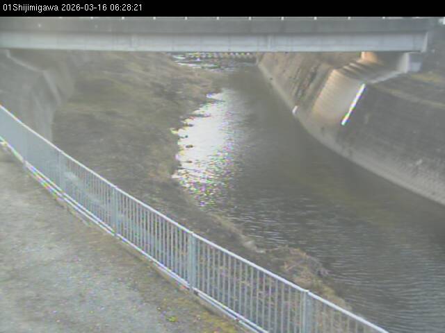 最新監視カメラ画像