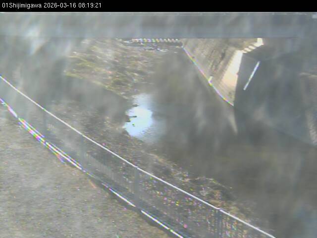 最新監視カメラ画像