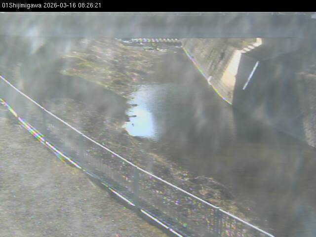 最新監視カメラ画像