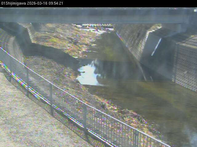 最新監視カメラ画像