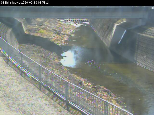 最新監視カメラ画像