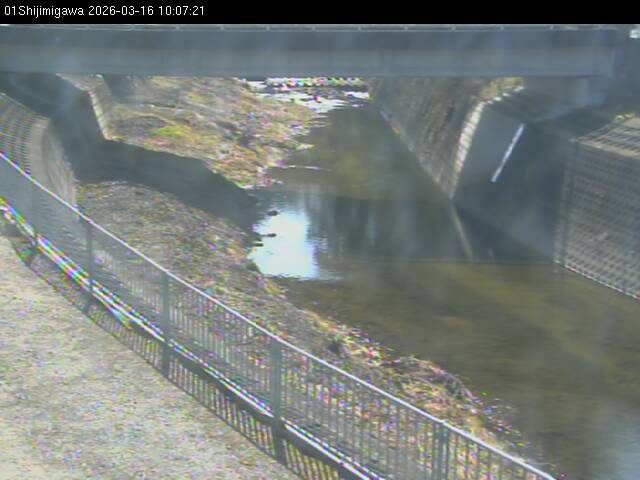 最新監視カメラ画像