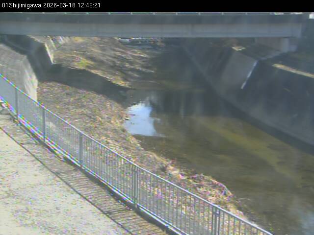 最新監視カメラ画像