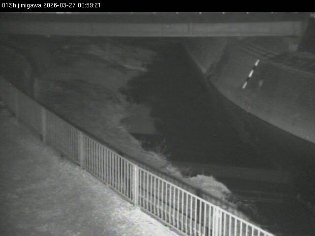 最新監視カメラ画像